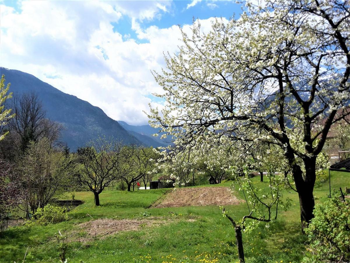 Bovec Holiday House Kültér fotó